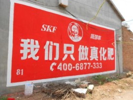 沈丘刷墙广告”蕴含了时代命题