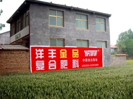 沈丘如何让墙体广告展现最大化效果