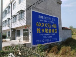 沈丘墙体广告质量分析