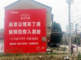 沈丘墙体广告在乡镇、农村市场的媒体优势
