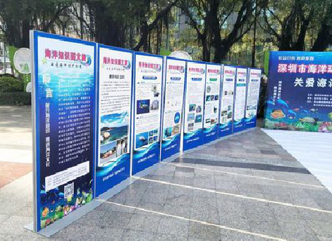 沈丘KT板的种类和知识。